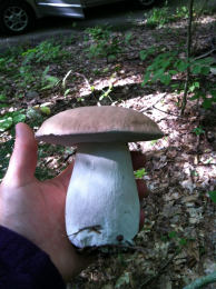 Cep Richard Scott