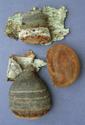 Fomes fomentarius 4 Mushroom