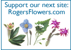 support our next site RogersFlowers.com