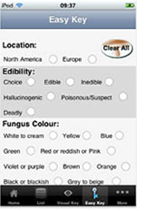 screen sample of iPhone app