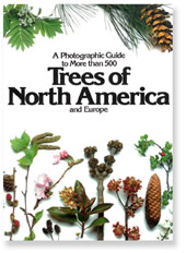 Trees of North America and Europe