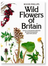 Wild Flowers of Britain
