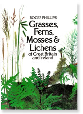 Grasses Ferns Mosses & Lichens