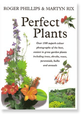 Perfect Plants