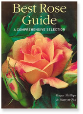Best Rose Guide