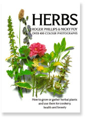Herbs