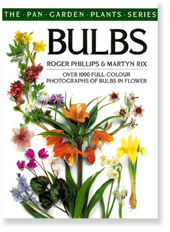 Bulbs